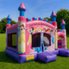 PHOTO PRINCESSES DISNEY 1 Château PRINCESSES DISNEY