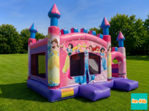 PHOTO PRINCESSES DISNEY 1 Château PRINCESSES DISNEY