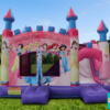 PHOTO PRINCESSES DISNEY 2 Château PRINCESSES DISNEY