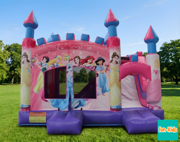 PHOTO PRINCESSES DISNEY 2 Château PRINCESSES DISNEY
